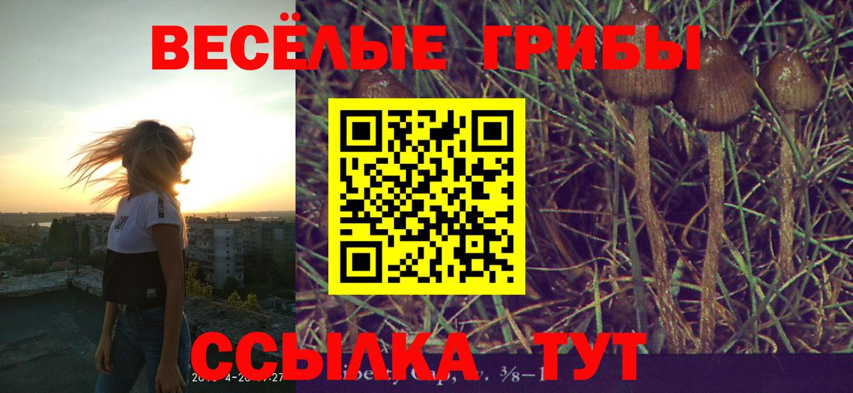Галлюциногенные грибы GOLDEN TEACHER Алапаевск