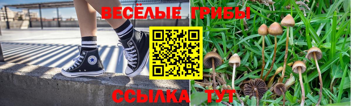 Алапаевск  Псилоцибиновые грибы прущие грибы  где купить наркоту  Вход с VPN 
